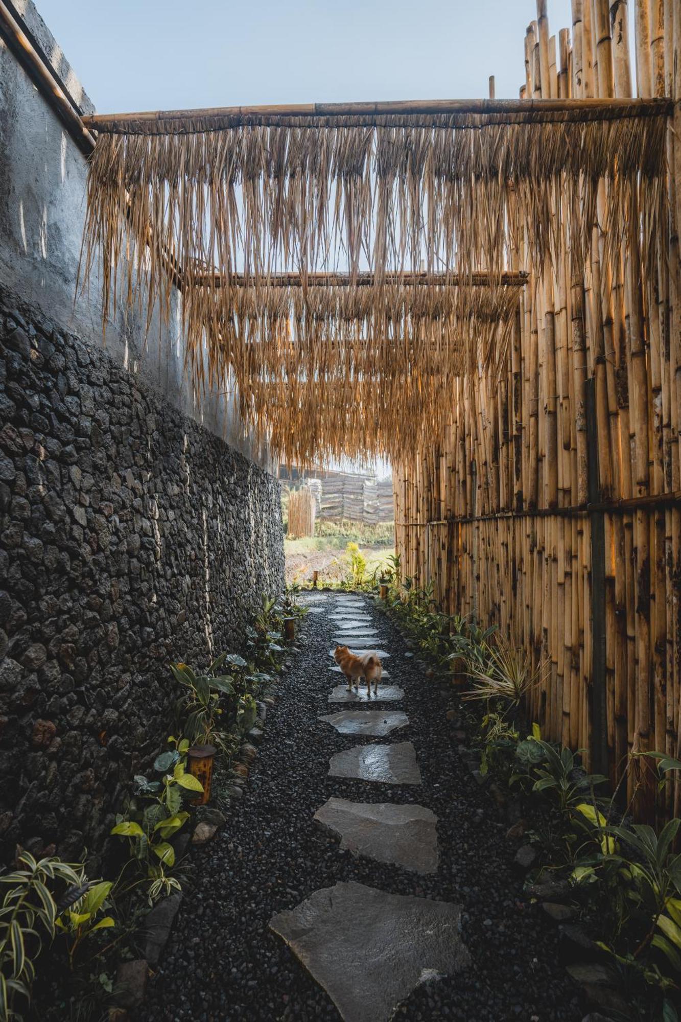 Nivriti Bali Villa Sidemen  Exteriör bild